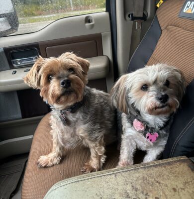 Mickey_&_Minnie_Mouse_01 Mickey & minnie mouse 01